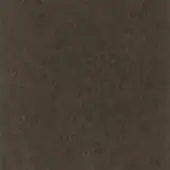 Bronze 5038